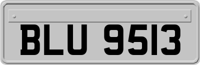 BLU9513