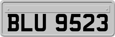 BLU9523