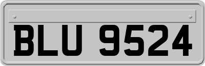 BLU9524