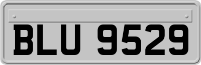 BLU9529
