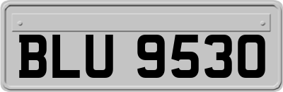 BLU9530
