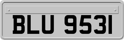 BLU9531