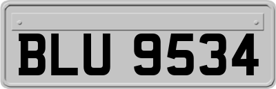 BLU9534