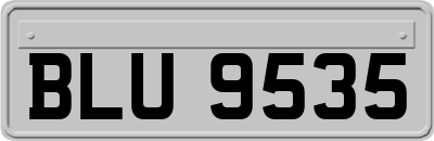 BLU9535