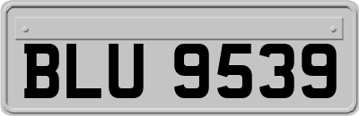 BLU9539
