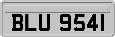 BLU9541