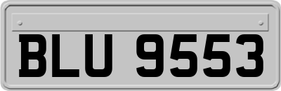 BLU9553