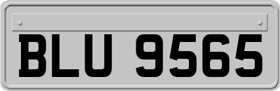 BLU9565