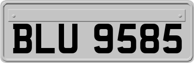 BLU9585