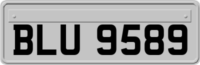 BLU9589