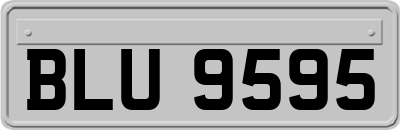 BLU9595