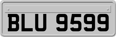 BLU9599