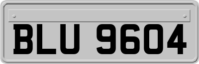 BLU9604