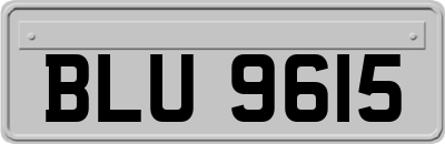 BLU9615