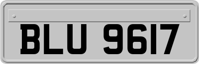 BLU9617