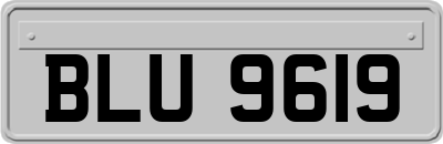 BLU9619