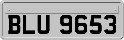 BLU9653