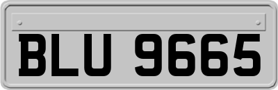 BLU9665