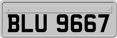 BLU9667