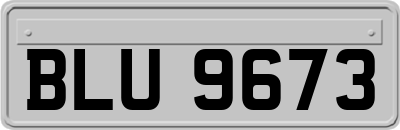 BLU9673