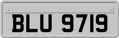 BLU9719