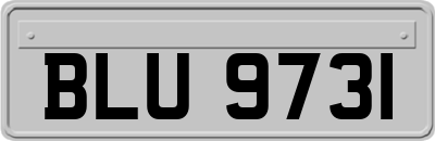 BLU9731