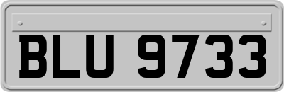 BLU9733