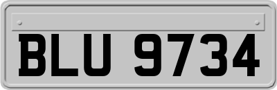 BLU9734