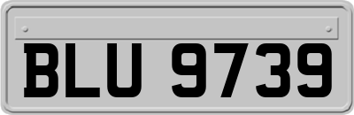 BLU9739