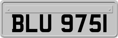 BLU9751