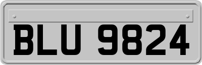 BLU9824