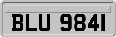 BLU9841
