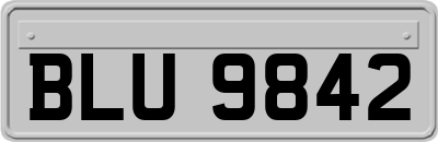 BLU9842