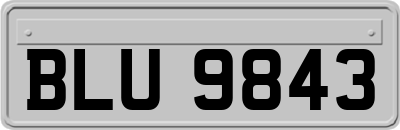 BLU9843