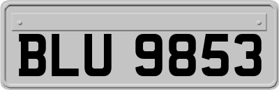 BLU9853