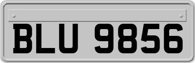 BLU9856