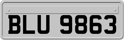 BLU9863
