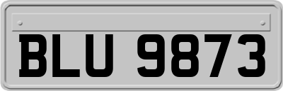 BLU9873