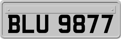 BLU9877