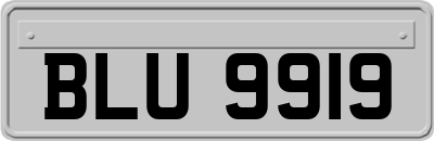 BLU9919