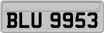 BLU9953