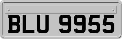 BLU9955