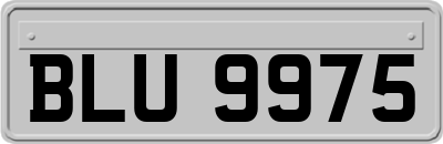 BLU9975