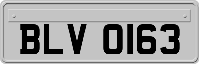BLV0163