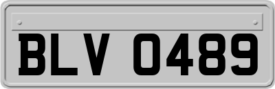 BLV0489