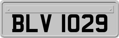BLV1029