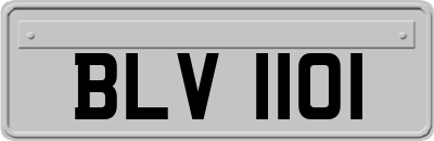 BLV1101