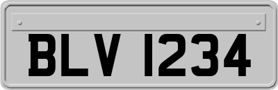 BLV1234