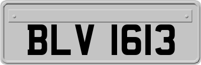 BLV1613