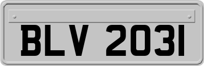BLV2031